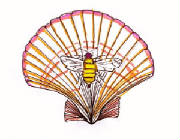 shellbee.jpg
